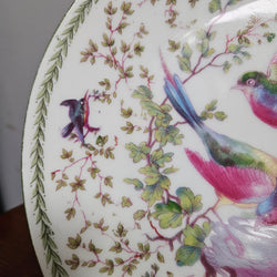 Vintage Victoria Austria Plate Featuring Birds