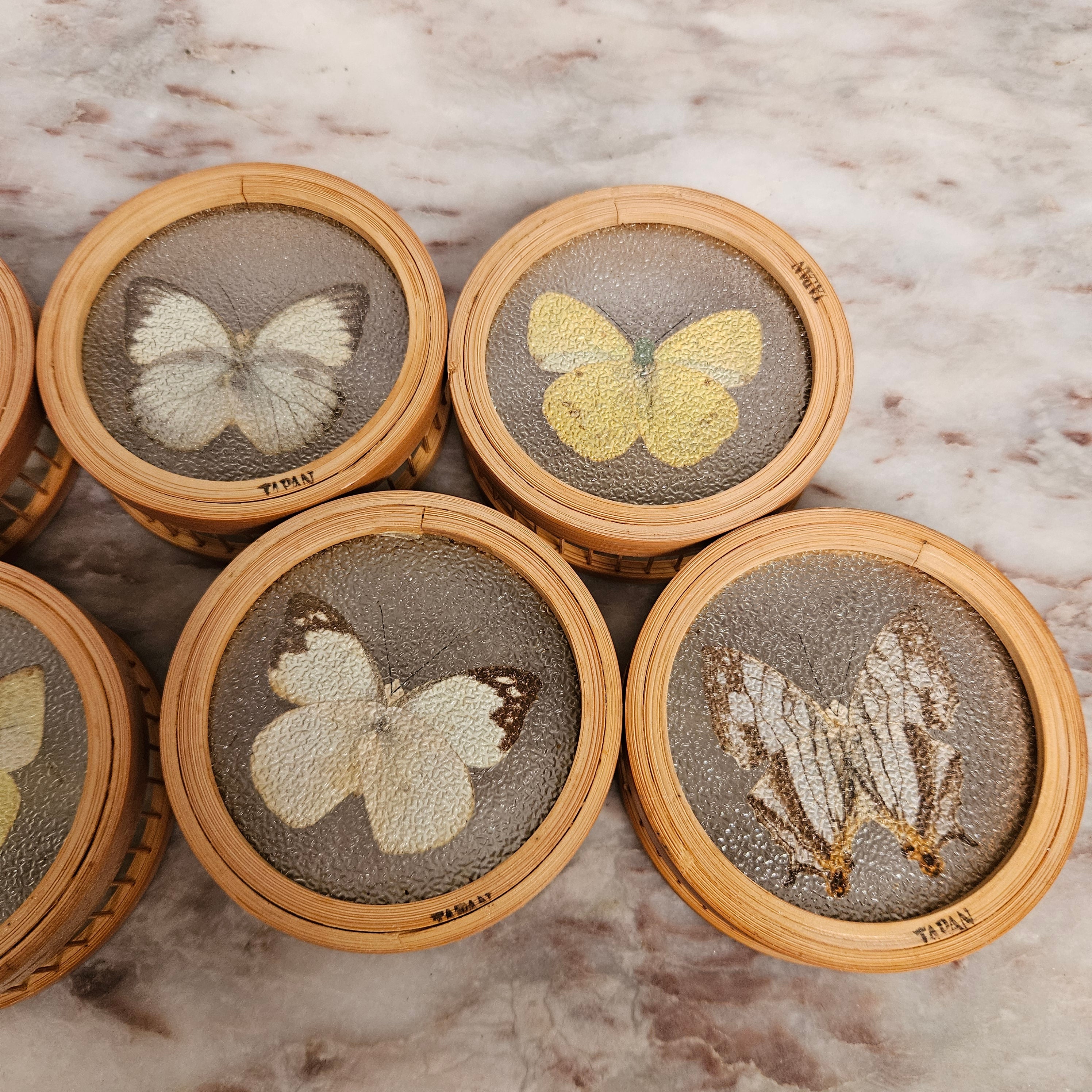 Vintage Set of Six Pressed Butterfly Coasters | Antique & Vintage | Moonee Ponds Antiques | Australia Wide