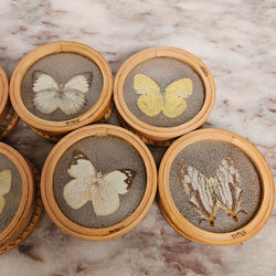 Vintage Set of Six Pressed Butterfly Coasters | Antique & Vintage | Moonee Ponds Antiques | Australia Wide Delivery