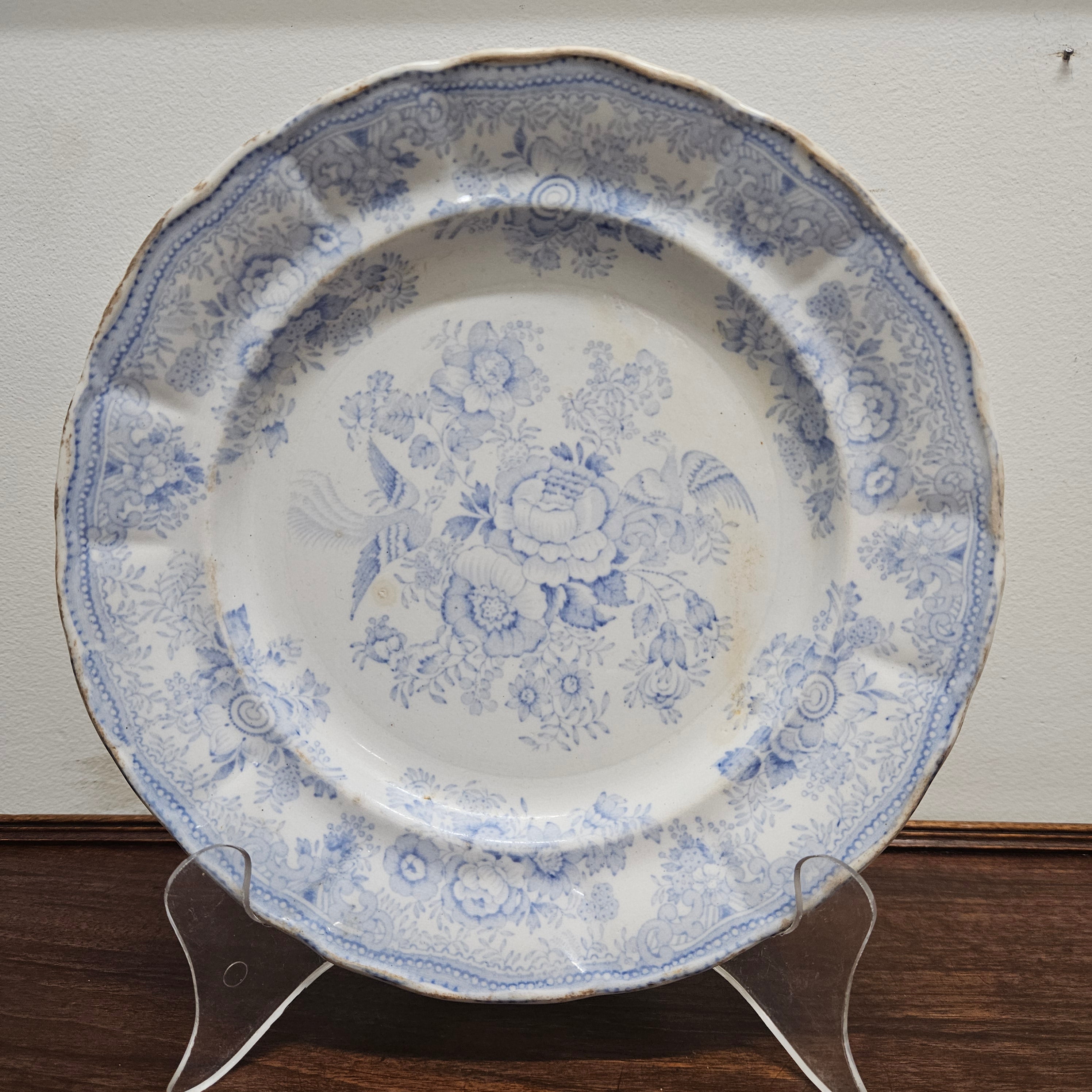 Antique Asiatic Pheasants Display Plate | Antique & Vintage | Moonee Ponds Antiques | Australia Wide Delivery