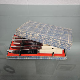 Six Vintage Viner & Hall Sheffield Faux Bone Handled Knives in Original Box