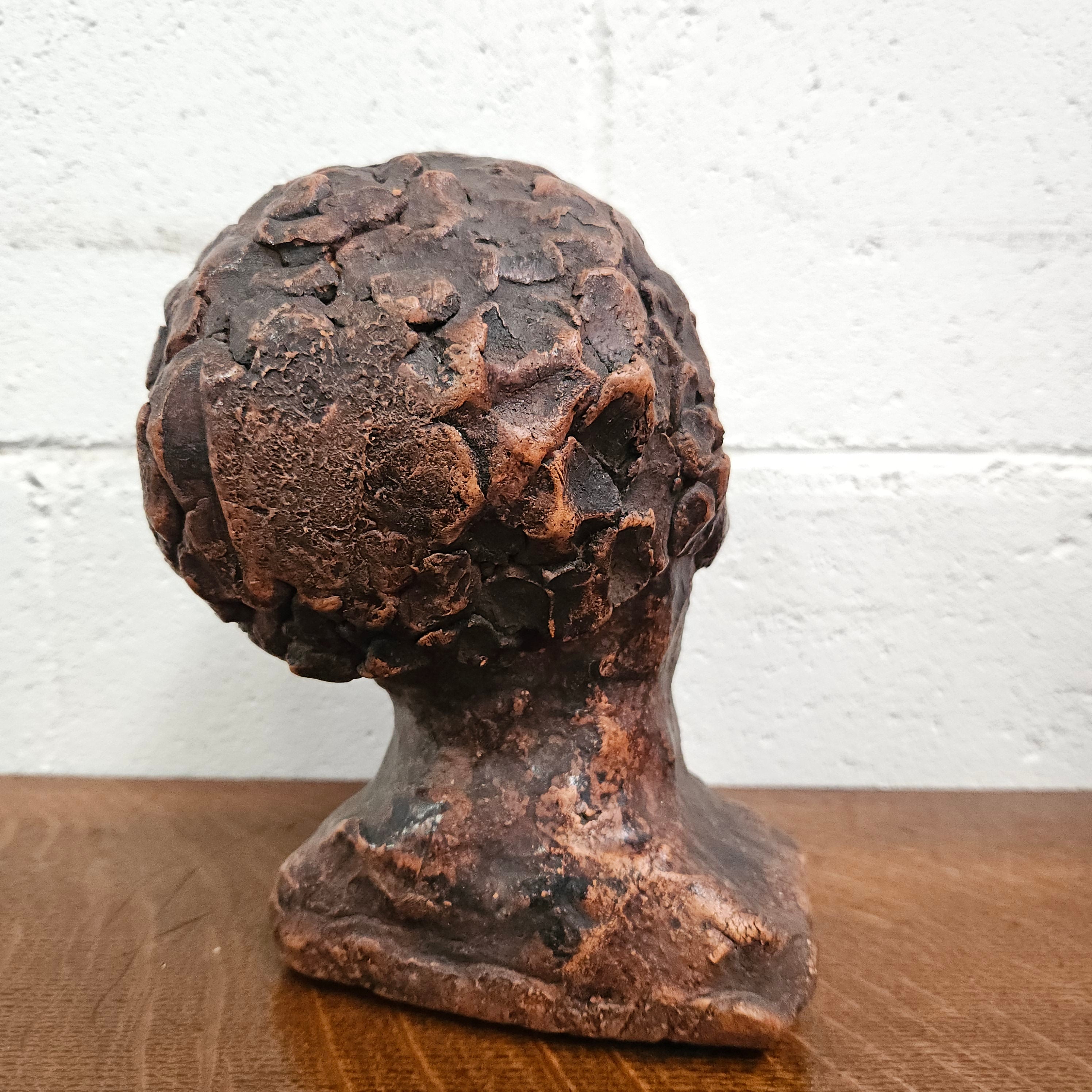 Vintage Sculptured Terracotta Bust | Antique & Vintage | Moonee Ponds Antiques | Australia Wide Delivery