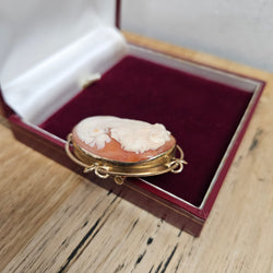 Beautiful Vintage Cameo Set In An Attractive (9 carat) Gold Frame