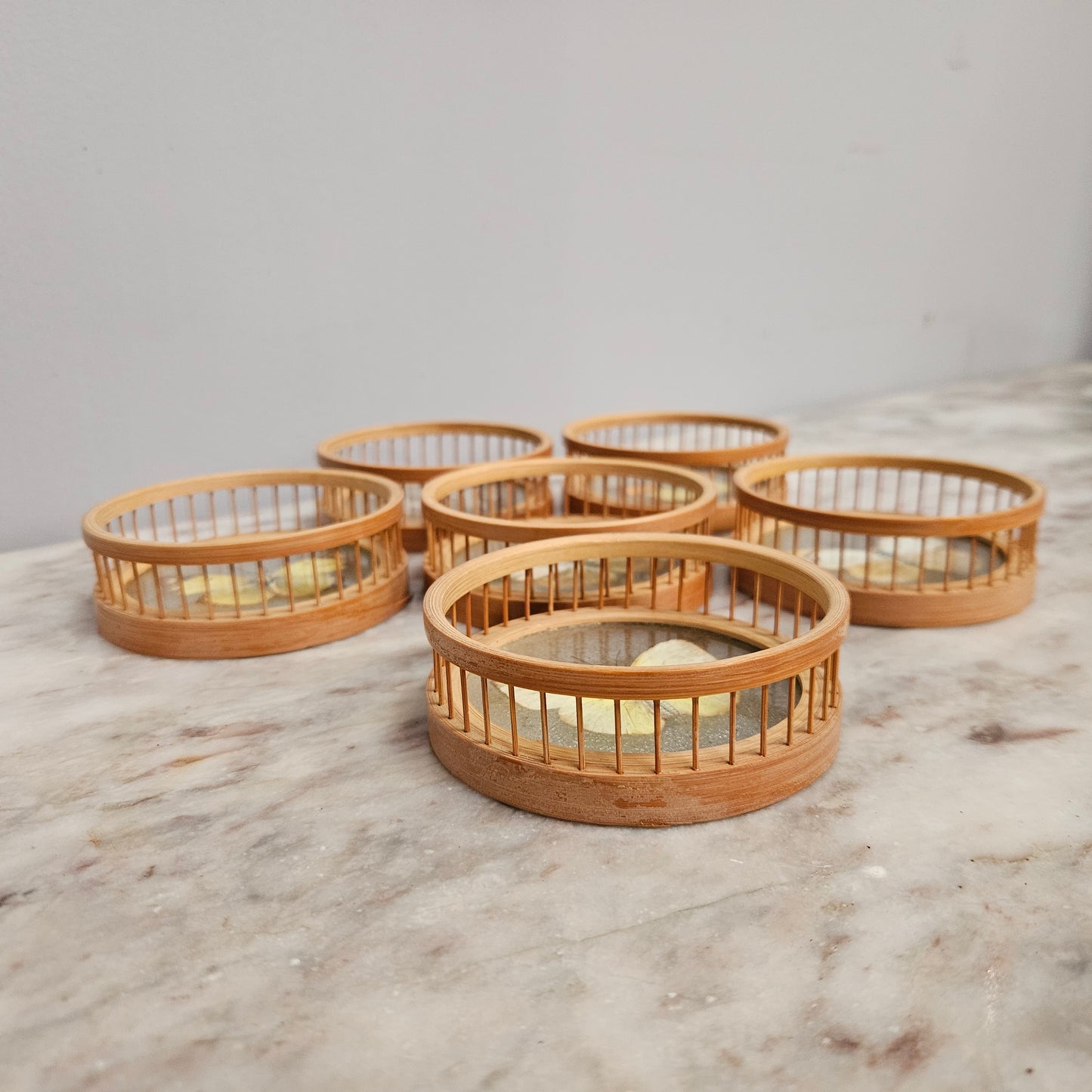 Vintage Set of Six Pressed Butterfly Coasters