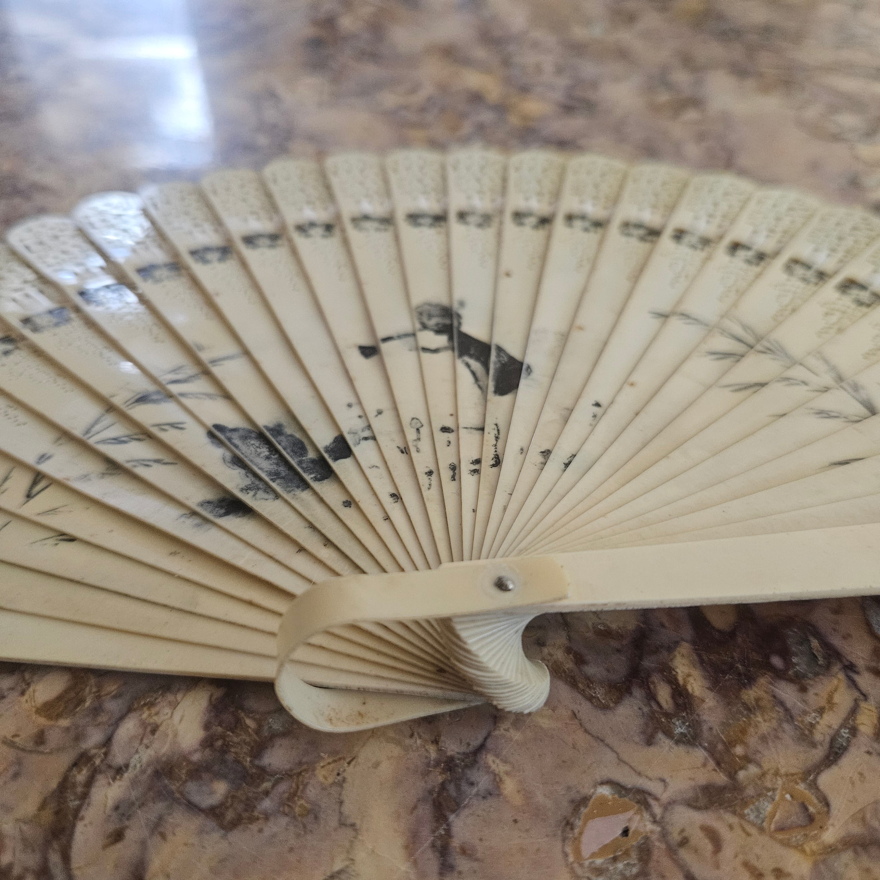 Art Deco Celluloid Fan Hand Painted | Antique & Vintage | Moonee Ponds Antiques | Australia Wide Delivery