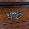 Compact Edwardian Walnut Bookcase, | Antique & Vintage | Moonee Ponds Antiques | Australia Wide Delivery