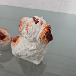 Pair of Antique Staffordshire Spaniels Statues | Antique & Vintage | Moonee Ponds Antiques | Australia Wide Delivery