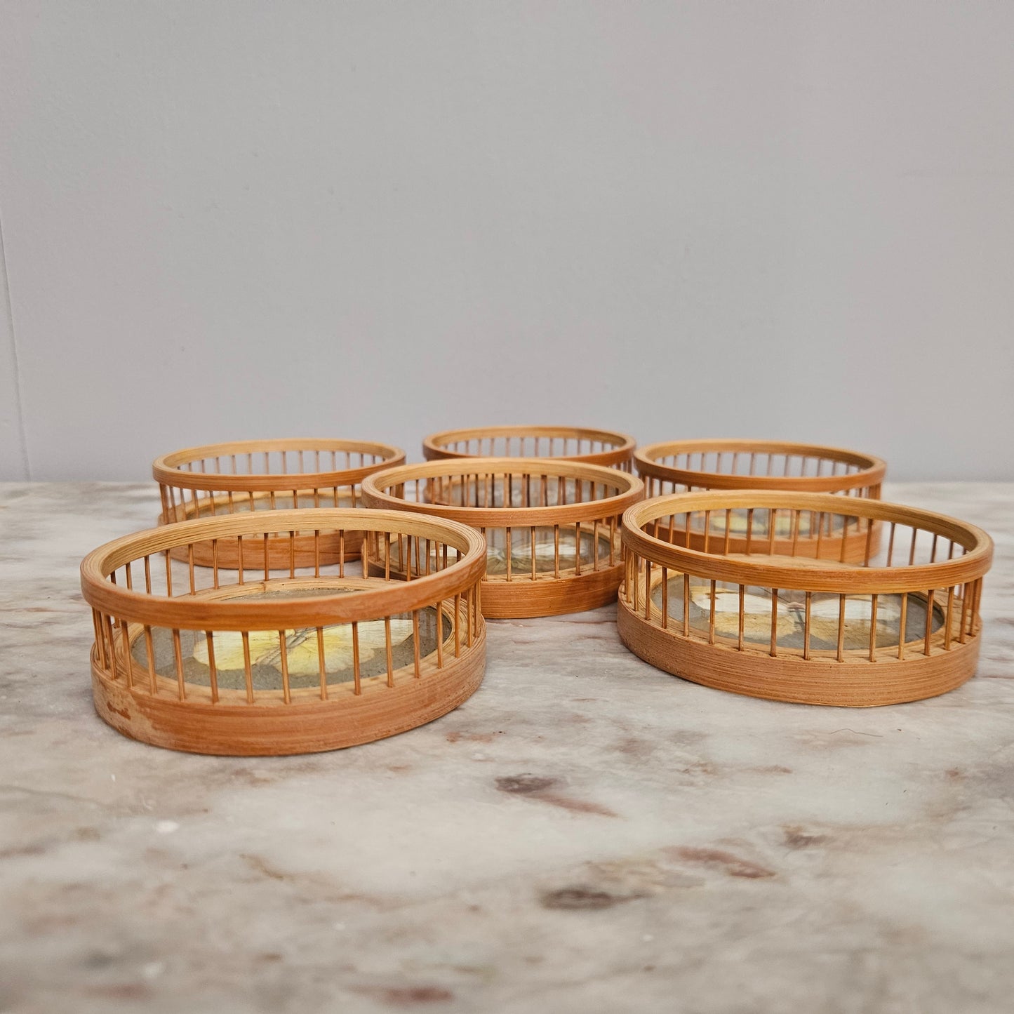 Vintage Set of Six Pressed Butterfly Coasters