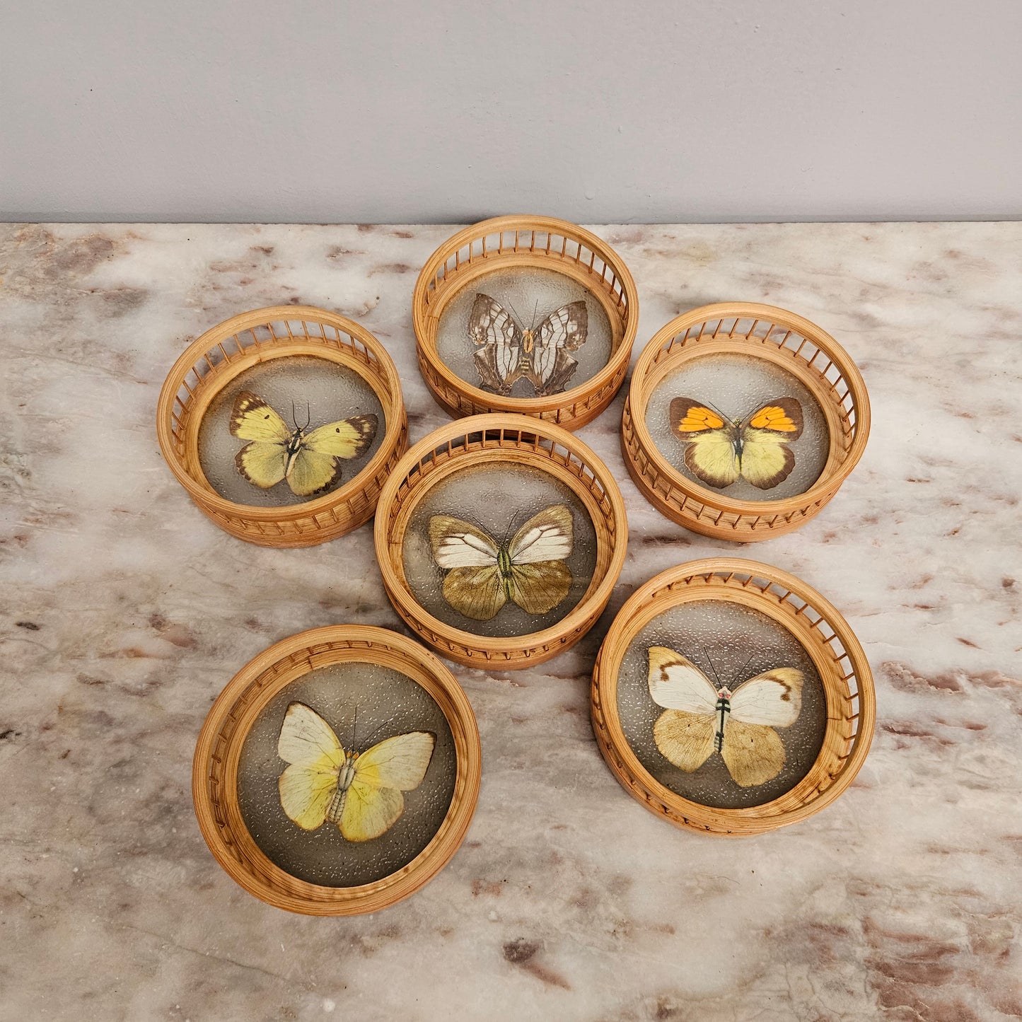 Vintage Set of Six Pressed Butterfly Coasters
