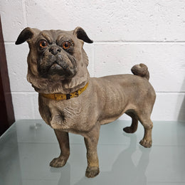 Rare Australian Large Cold Painted Terracotta Pug Statue
