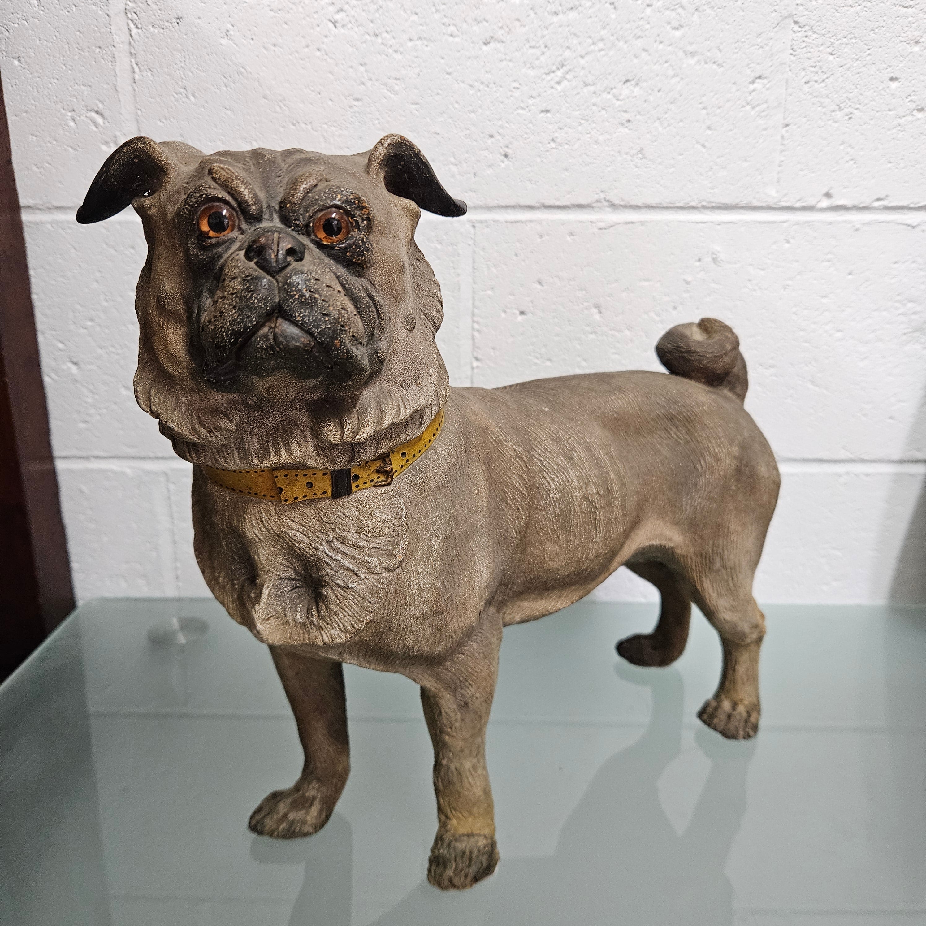 Rare Australian Large Cold Painted Terracotta Pug Statue