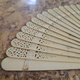 Art Deco Celluloid Fan Hand Painted