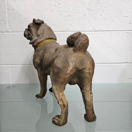 Rare Australian Large Cold Painted Terracotta Pug Statue