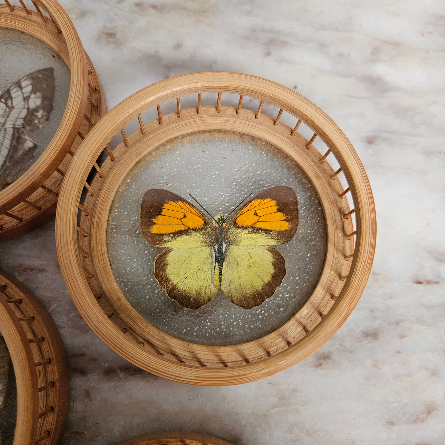 Vintage Set of Six Pressed Butterfly Coasters