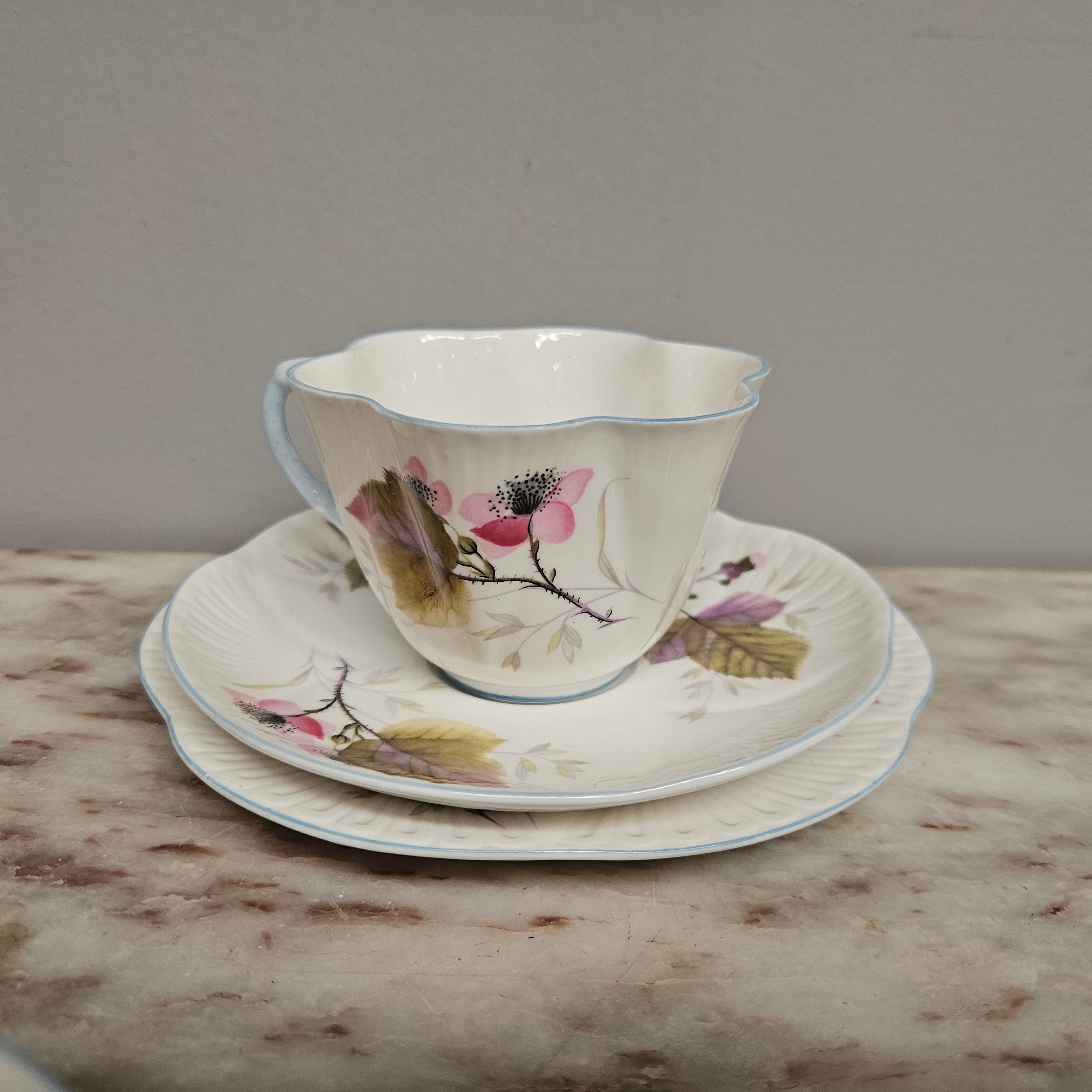 Rare Shelley Bramble Pattern Tea Set