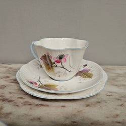 Rare Shelley Bramble Pattern Tea Set | Antique & Vintage | Moonee Ponds Antiques | Australia Wide Delivery