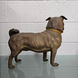 Rare Australian Large Cold Painted Terracotta Pug Statue