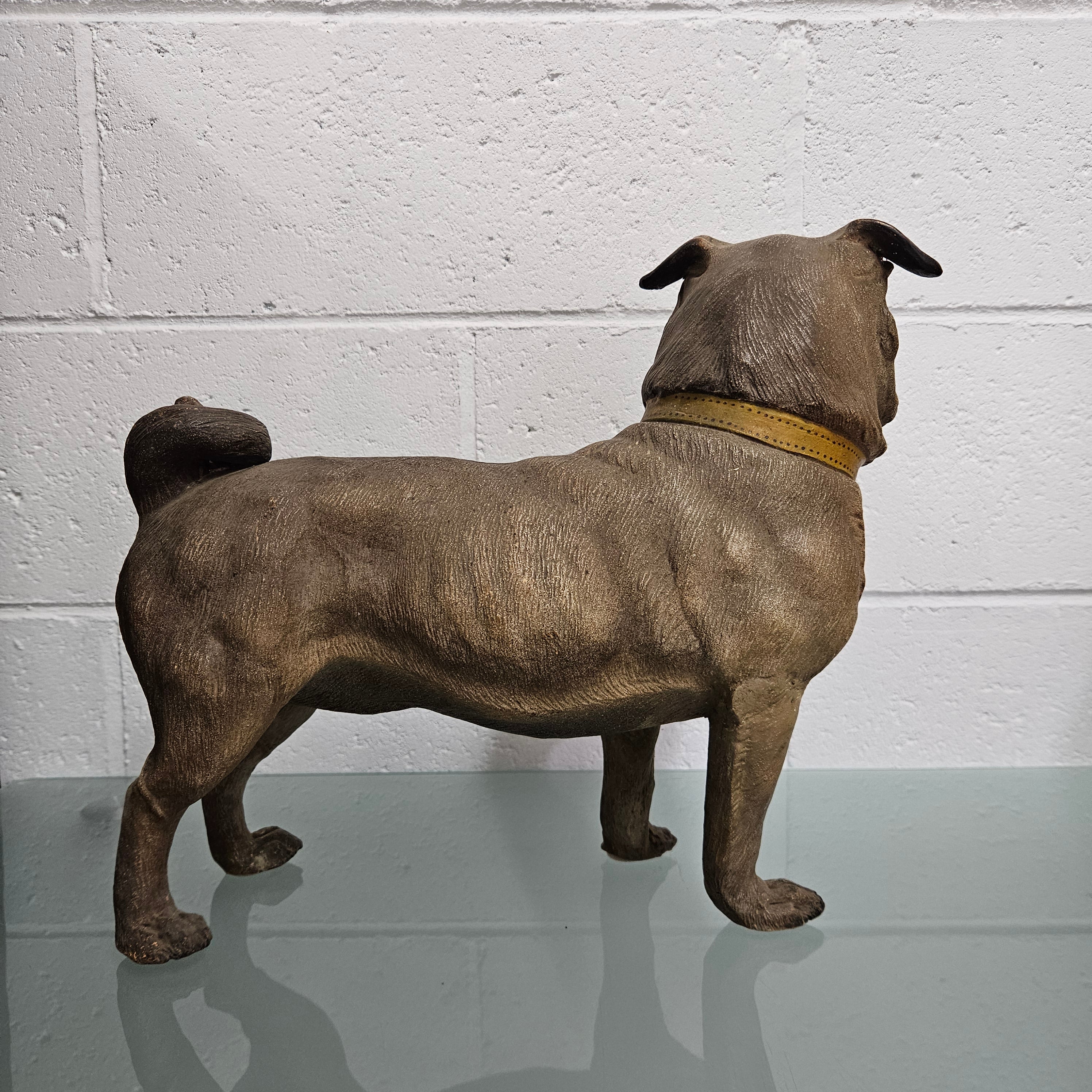 Rare Australian Large Cold Painted Terracotta Pug Statue | Antique & Vintage | Moonee Ponds Antiques | Australia Wide Delivery