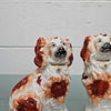 Pair of Antique Staffordshire Spaniels Statues | Antique & Vintage | Moonee Ponds Antiques | Australia Wide Delivery