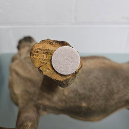 Rare Australian Large Cold Painted Terracotta Pug Statue