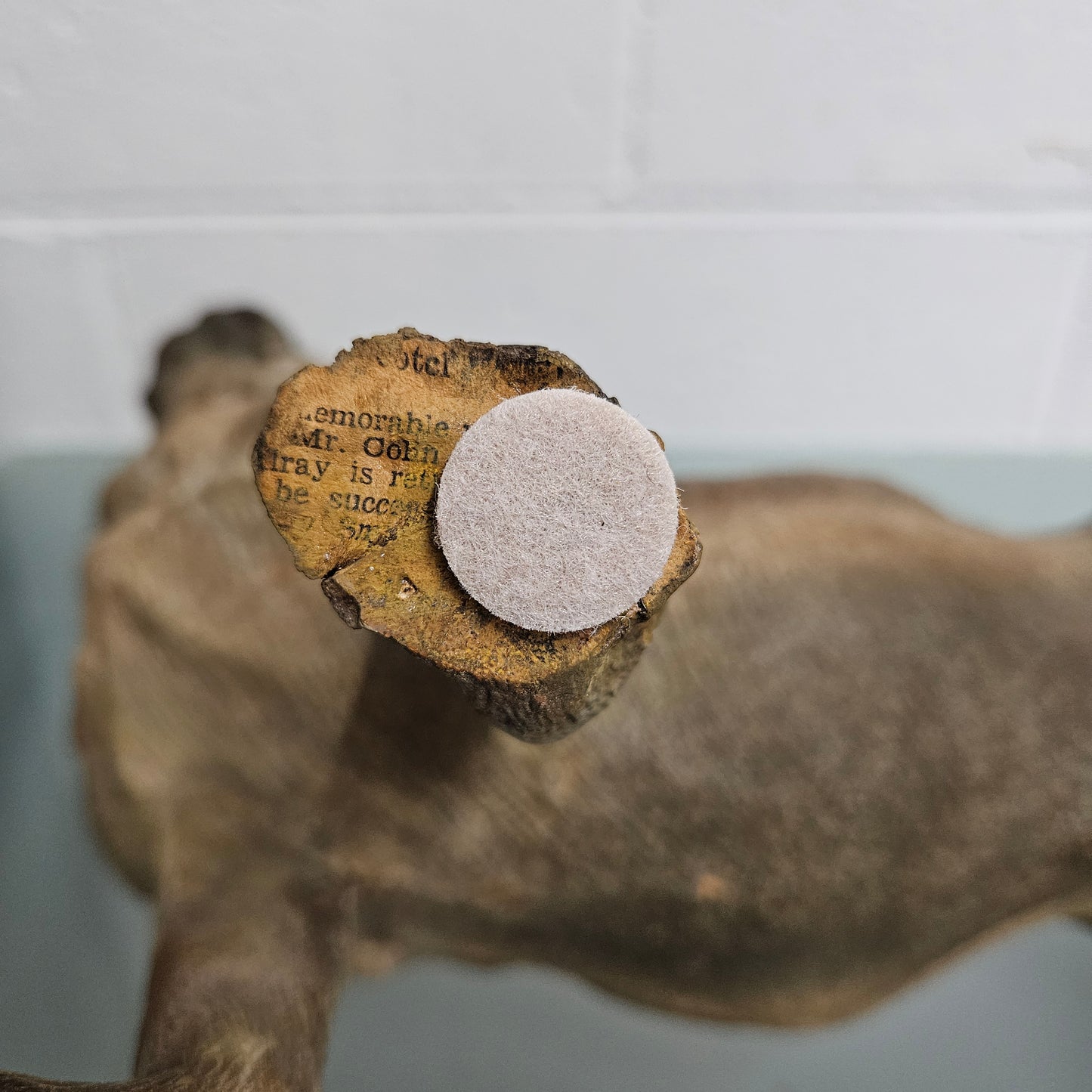 Rare Australian Large Cold Painted Terracotta Pug Statue