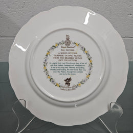 Vintage Royal Doulton Brambly Hedge "The Outing" Plate Made in England