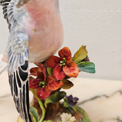 Crown Staffordshire Bird Figurine Signed J T Jones. | Antique & Vintage | Moonee Ponds Antiques | Australia Wide Delivery