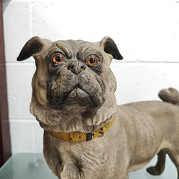 Rare Australian Large Cold Painted Terracotta Pug Statue