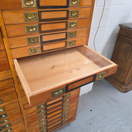 Rare 1920's Huon Pine 40 Drawer Entomology Specimen Cabinet