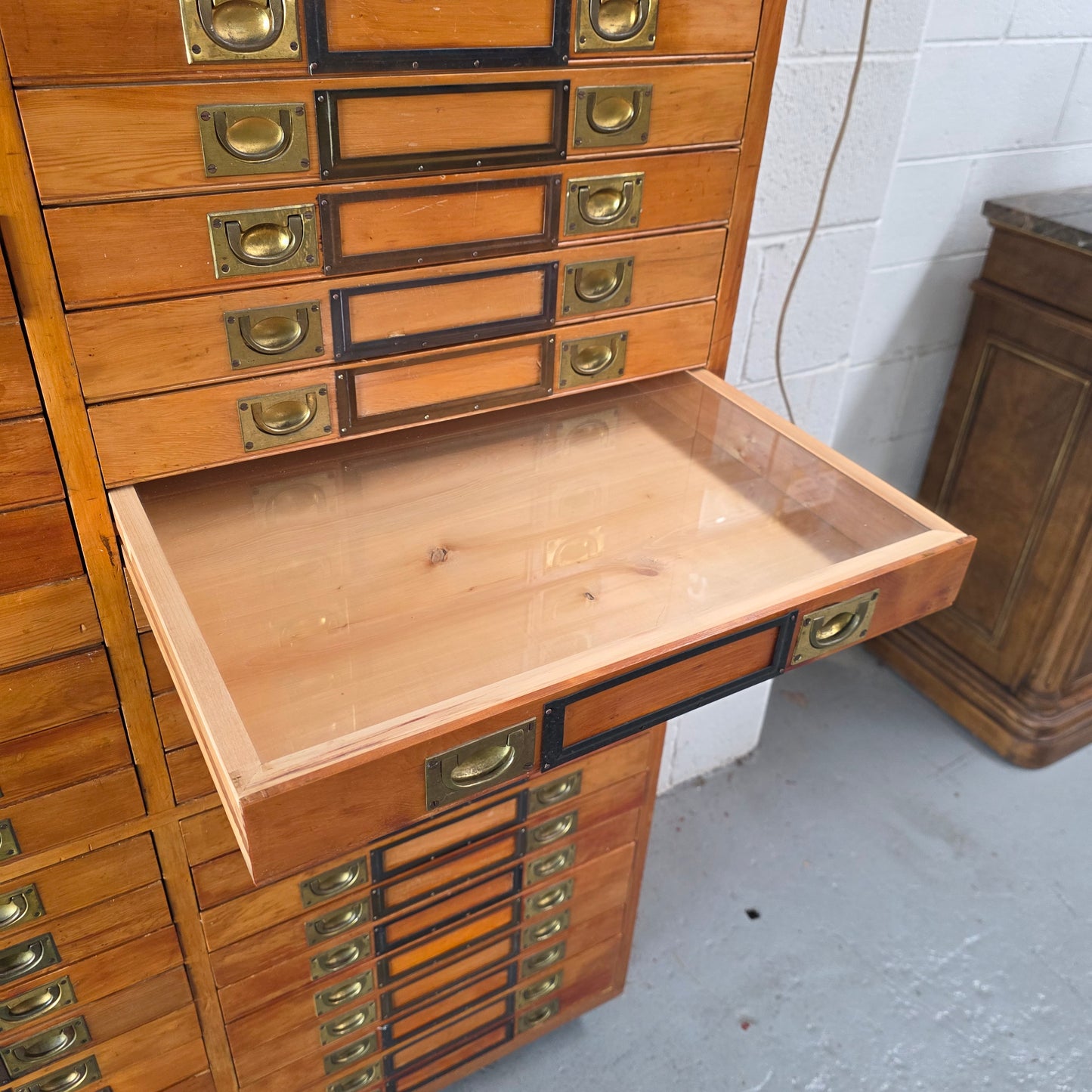 Rare 1920's Huon Pine 40 Drawer Entomology Specimen Cabinet