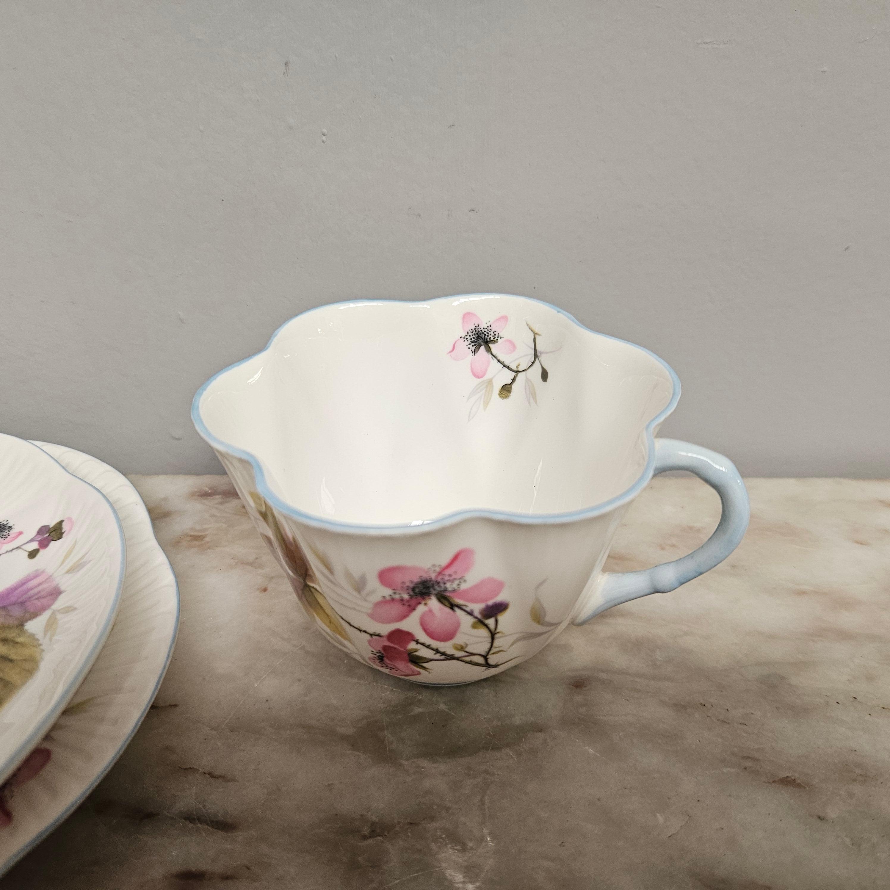 Rare Shelley Bramble Pattern Tea Set | Antique & Vintage | Moonee Ponds Antiques | Australia Wide Delivery