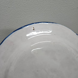 Large 19th Century French Majolica Hand Painted Plate