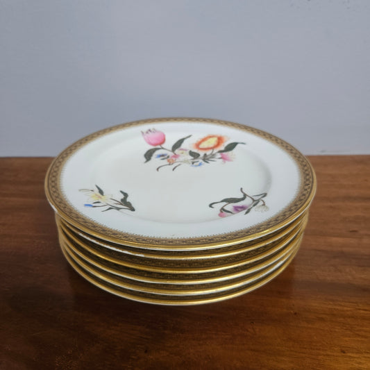 Set 6 Antique Royal Worcester Hand Painted & Gilded Plates