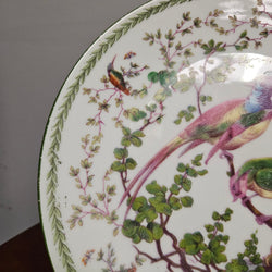 Vintage "Victoria Austria" Bird Plate