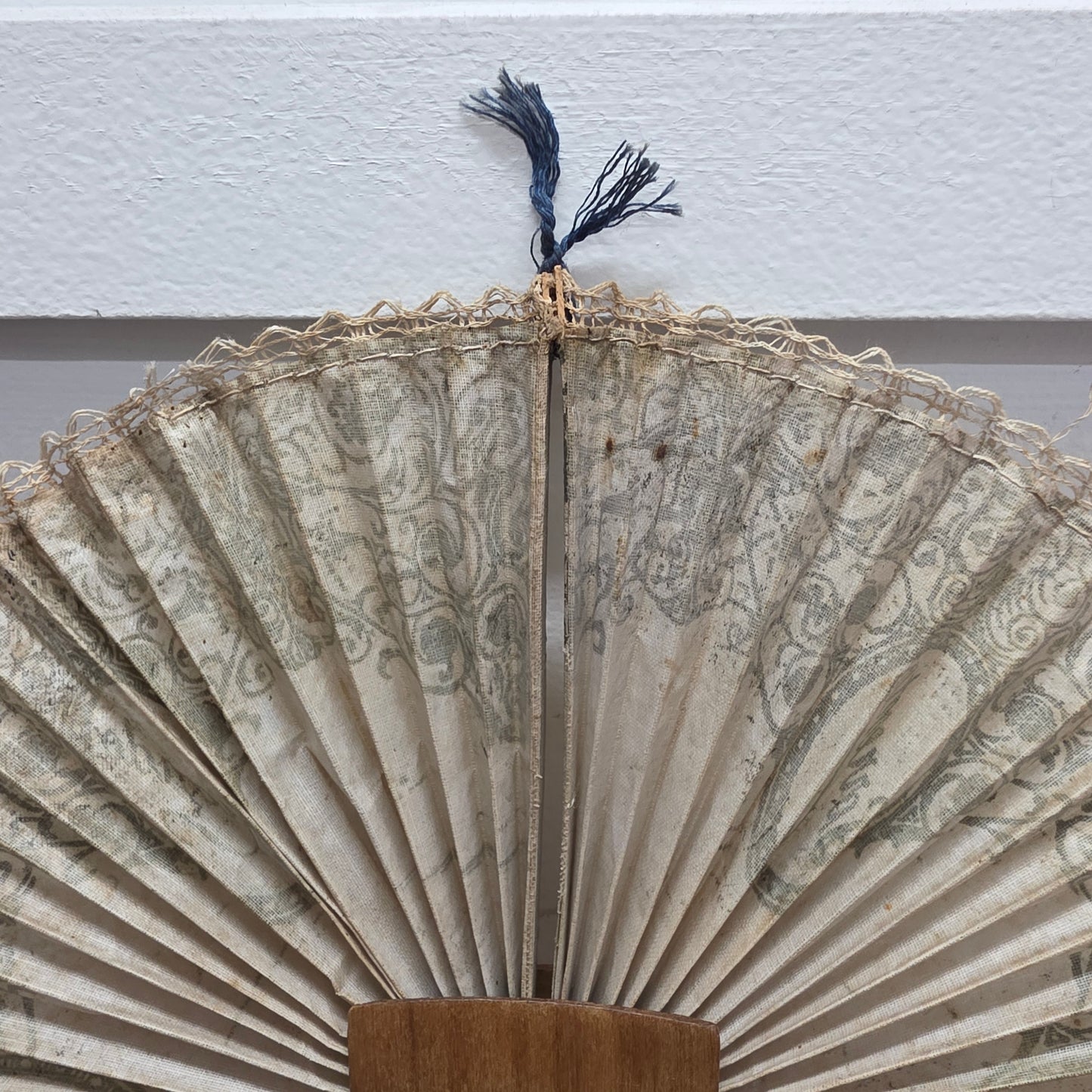 Victorian Olive Wood Cased Concertina Fan