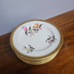 Set 6 Antique Royal Worcester Hand Painted & Gilded Plates