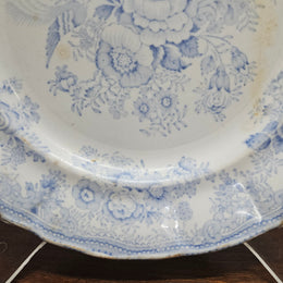 Antique Asiatic Pheasants Display Plate
