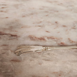 Victorian English Silver Plated Berry Spoon