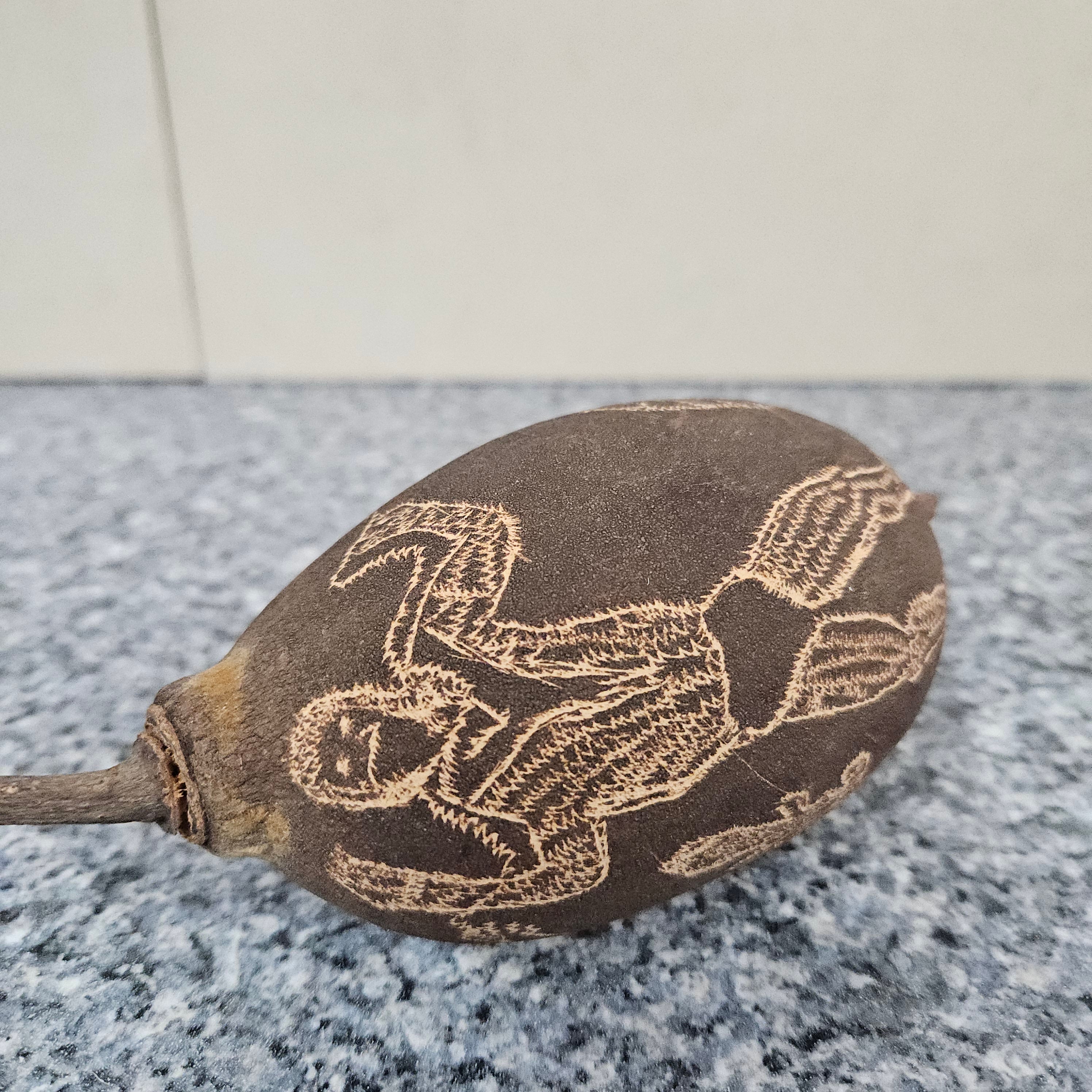 Rare Carved Boab-Treenut | Antique & Vintage | Moonee Ponds Antiques | Australia Wide Delivery