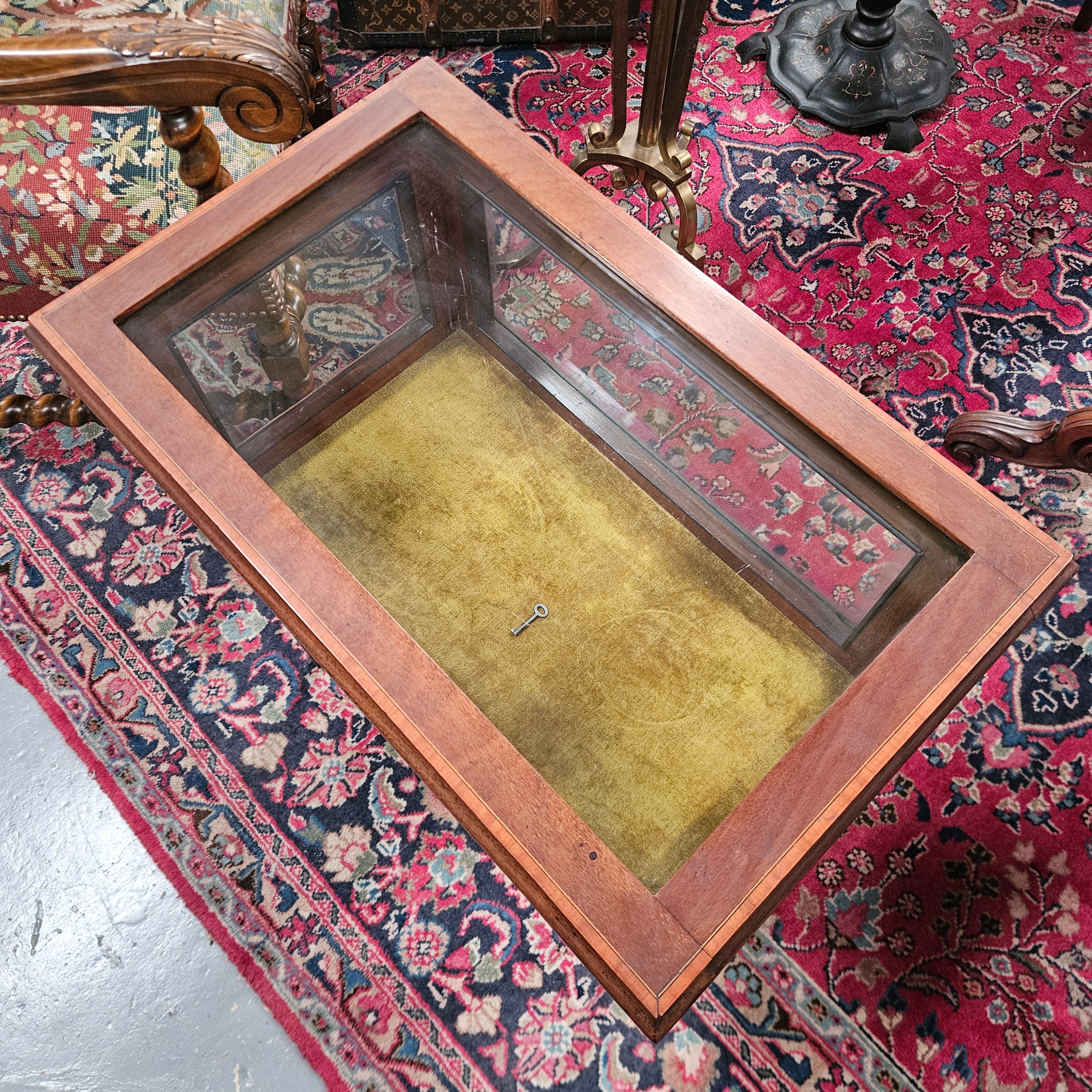 Edwardian Mahogany Inlaid Lift Top Curio Showcase | Antique & Vintage | Moonee Ponds Antiques | Australia Wide Delivery