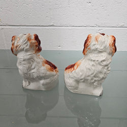 Pair of Antique Staffordshire Spaniels Statues | Antique & Vintage | Moonee Ponds Antiques | Australia Wide Delivery