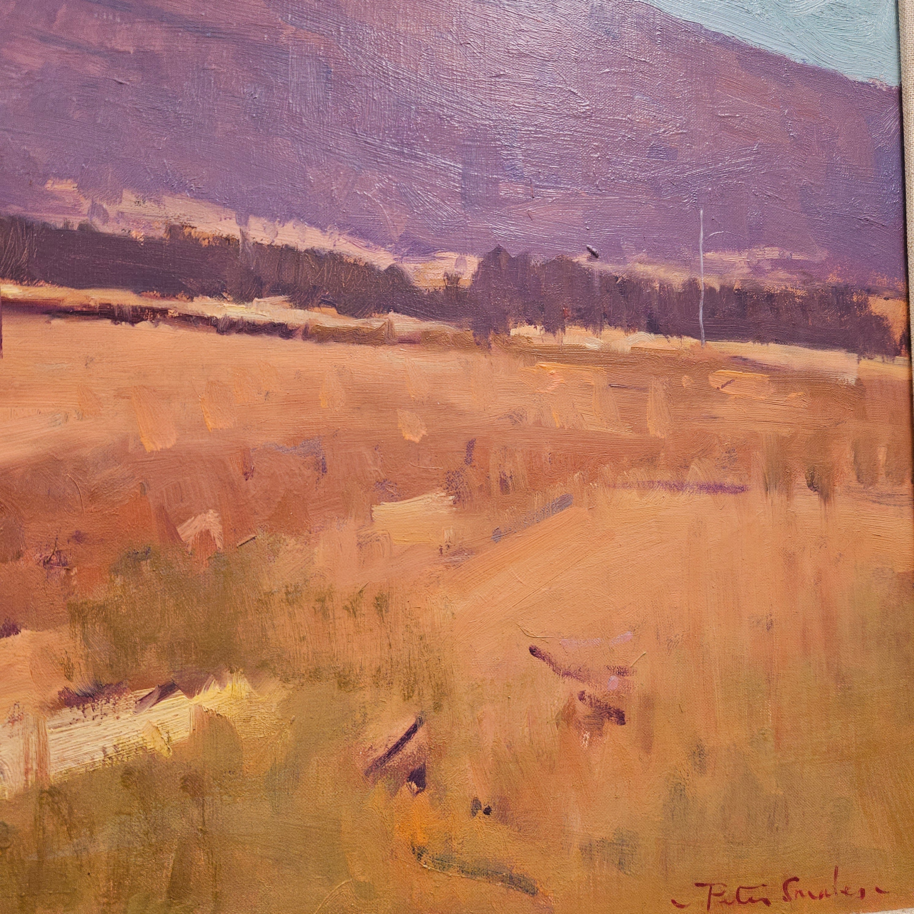 Framed Australian Oil on Canvas Painting Signed by Peter Smales | Antique & Vintage | Moonee Ponds Antiques | Australia Wide Delivery