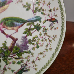 Vintage "Victoria Austria" Bird Plate