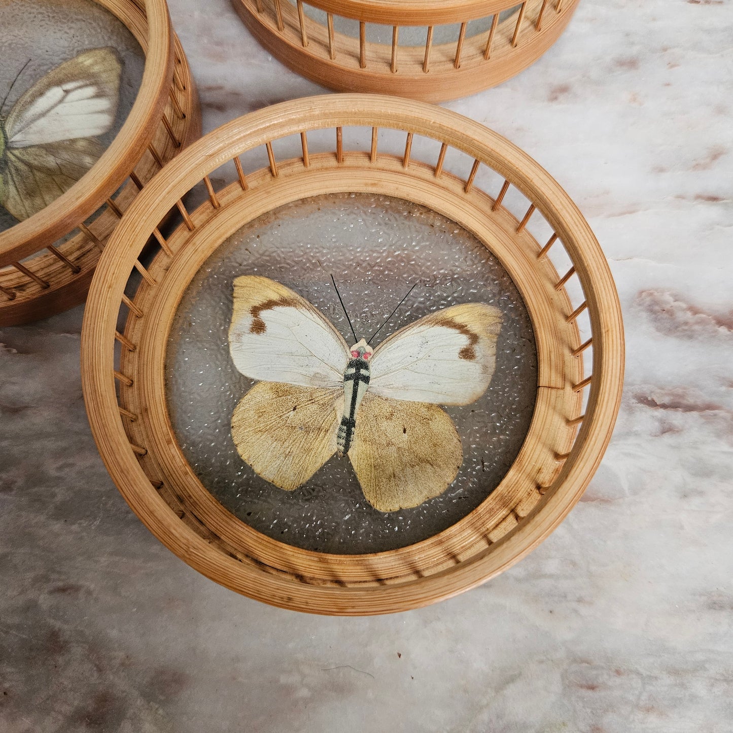Vintage Set of Six Pressed Butterfly Coasters