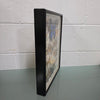 Vintage Butterfly Framed Taxidermy | Antique & Vintage | Moonee Ponds Antiques | Australia Wide Delivery