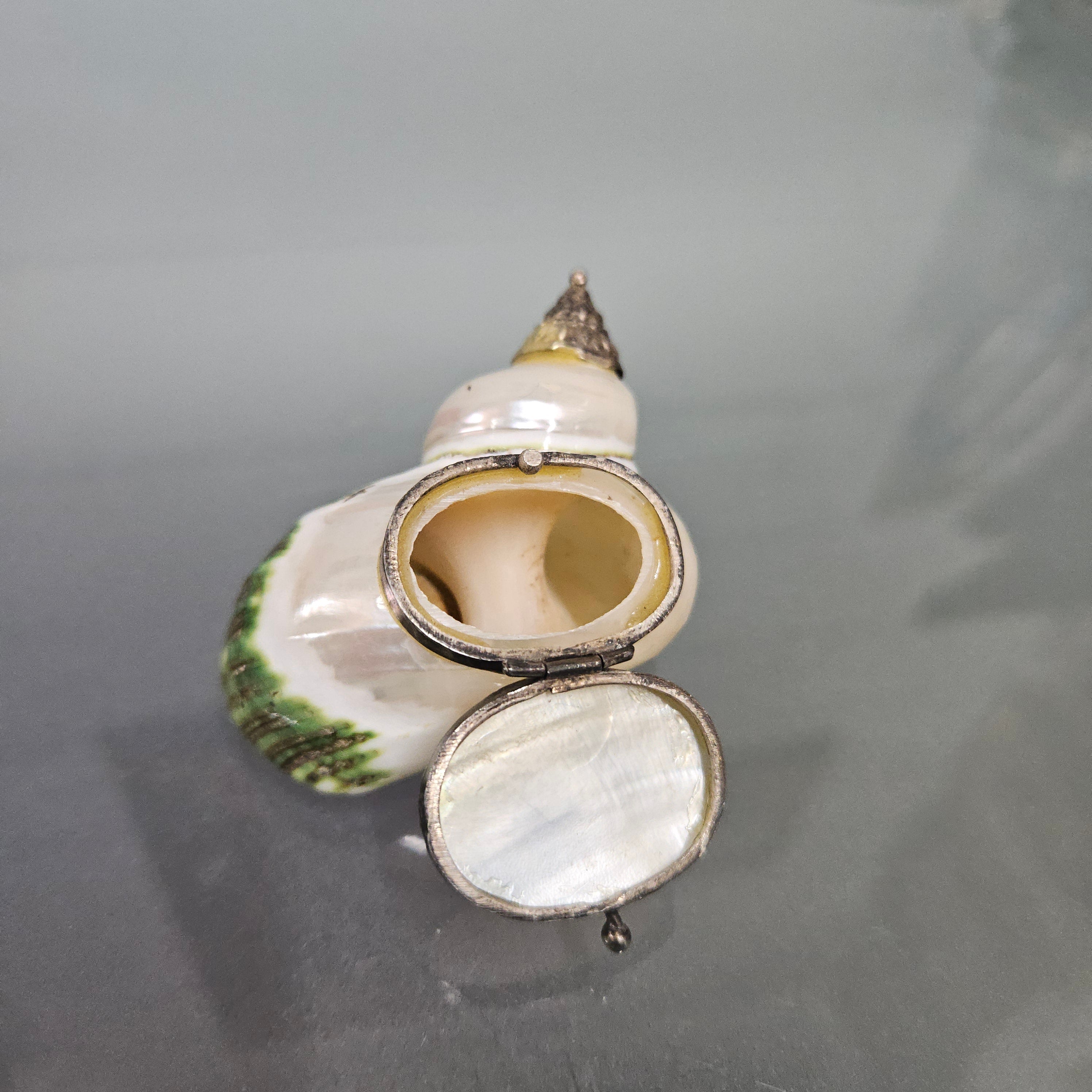 Novelty Silver & Mother Of Pearl Snuff Box | Antique & Vintage | Moonee Ponds Antiques | Australia Wide Delivery