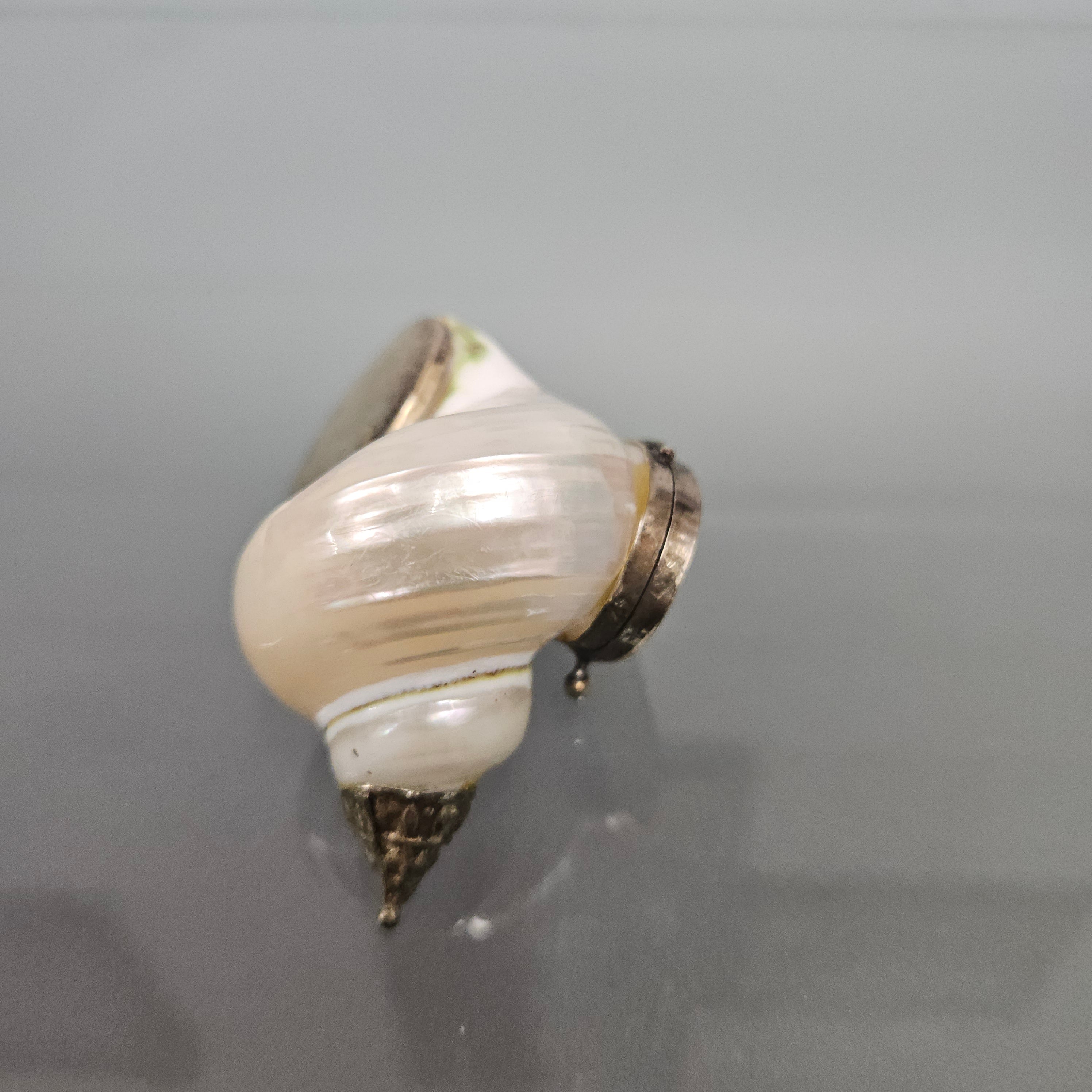 Novelty Silver & Mother Of Pearl Snuff Box | Antique & Vintage | Moonee Ponds Antiques | Australia Wide Delivery