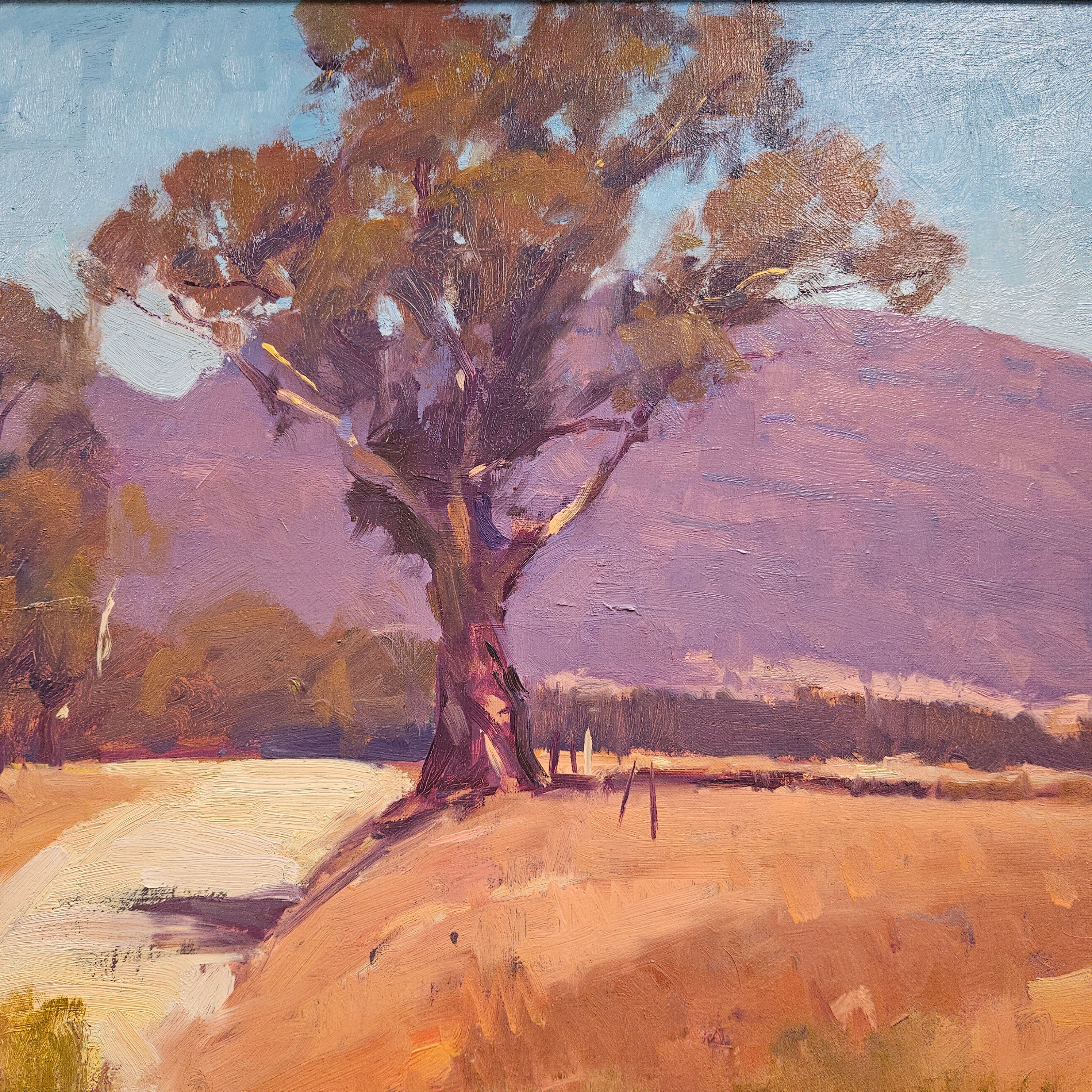 Framed Australian Oil on Canvas Painting Signed by Peter Smales | Antique & Vintage | Moonee Ponds Antiques | Australia Wide Delivery