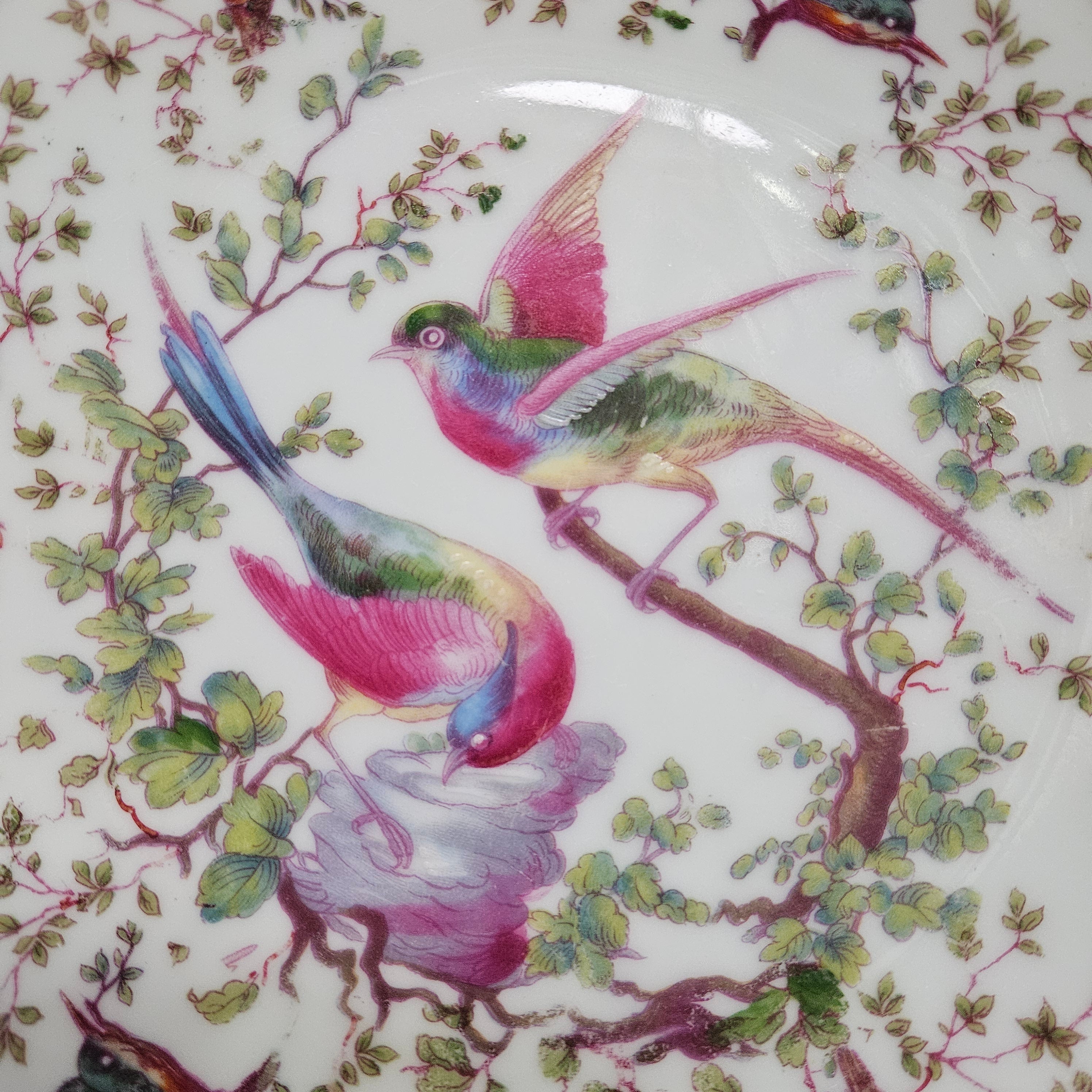Vintage Victoria Austria Plate Featuring Birds