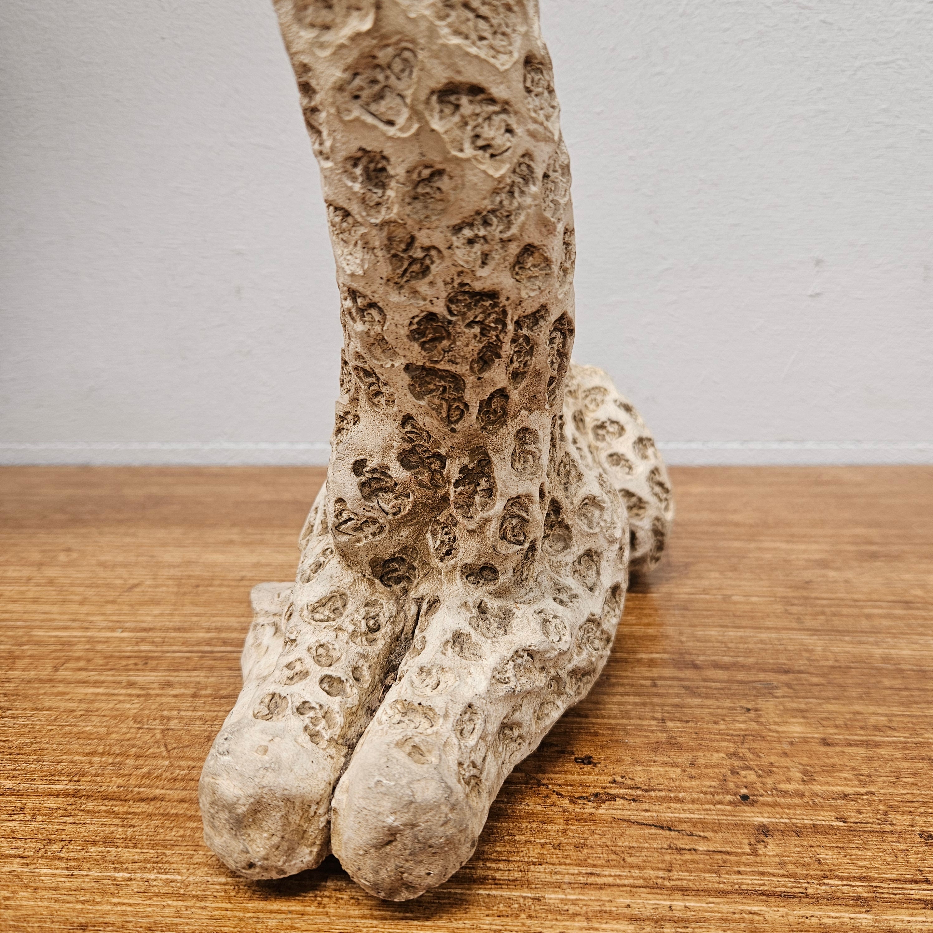 Vintage Painted Concrete Sitting Giraffe Statue | Antique & Vintage | Moonee Ponds Antiques | Australia Wide Delivery